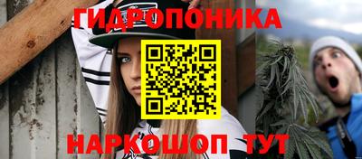 мдпв Рязань