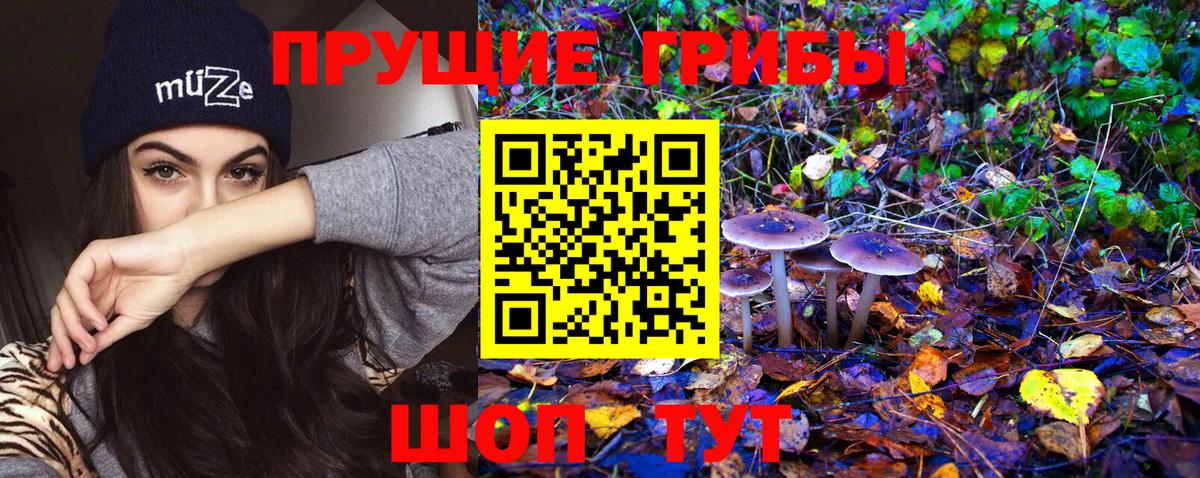 Галлюциногенные грибы MAGIC MUSHROOMS  Вход с VPN  Галлюциногенные грибы GOLDEN TEACHER  Саров 